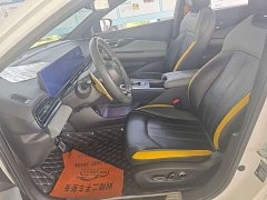 Trumpchi Leopard 270T DCT J16 - ფოტო 4