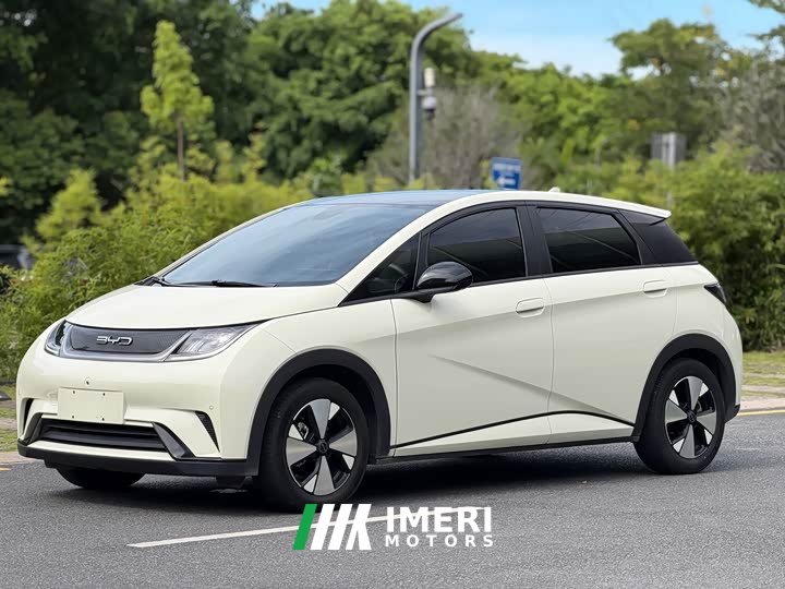 BYD Dolphin Glory Edition 420km Fashion Version - ავტომობილი ჩინეთიდან
