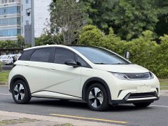 BYD Dolphin Glory Edition 420km Fashion Version - ფოტო 3