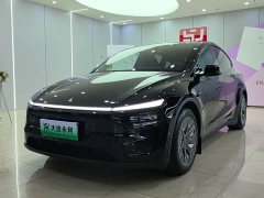 Tesla Model Y L Long Range All-Wheel Drive - ფოტო 1