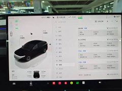 Tesla Model Y L Long Range All-Wheel Drive - ფოტო 17