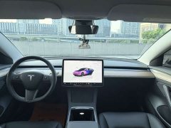 Tesla Model 3 2022 Rear-Wheel Drive - ფოტო 12