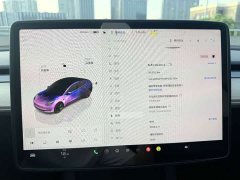 Tesla Model 3 2022 Rear-Wheel Drive - ფოტო 13