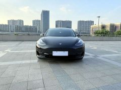 Tesla Model 3 2022 Rear-Wheel Drive - ფოტო 2