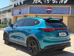 Haval Chitu 2021 Jiqing Edition 1.5T Golden Rabbit - ფოტო 10