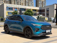 Haval Chitu 2021 Jiqing Edition 1.5T Golden Rabbit - ფოტო 3