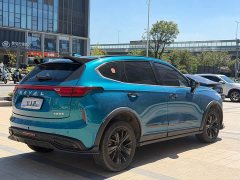 Haval Chitu 2021 Jiqing Edition 1.5T Golden Rabbit - ფოტო 9