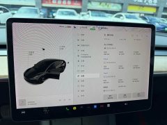 Tesla Model 3 Standard Range RWD Upgrade - ფოტო 10