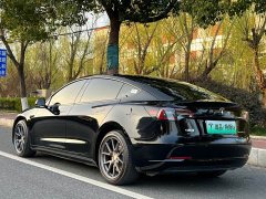 Tesla Model 3 Standard Range RWD Upgrade - ფოტო 3