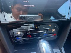 Volkswagen Magotan 2021 330TSI DSG 30th Anniversary Edition - ფოტო 6