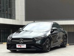 Mercedes-Benz CLS 300 Luxury - ფოტო 1