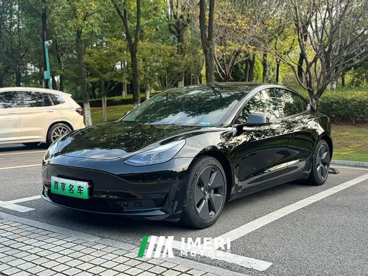 Tesla Model 3 Standard Range RWD Upgrade 3D6 - ავტომობილი ჩინეთიდან