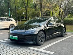 Tesla Model 3 Standard Range RWD Upgrade 3D6 - ფოტო 1
