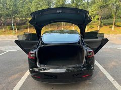 Tesla Model 3 Standard Range RWD Upgrade 3D6 - ფოტო 11