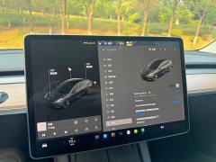 Tesla Model 3 Standard Range RWD Upgrade 3D6 - ფოტო 14