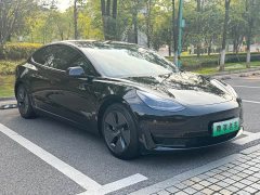 Tesla Model 3 Standard Range RWD Upgrade 3D6 - ფოტო 3