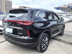 Haval H6 Third Generation 1.5T Automatic Two-Wheel Drive Pro - ფოტო 6