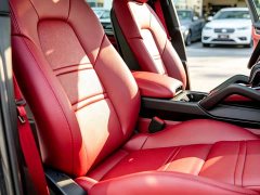 Porsche 2019 Cayenne 3.0T - ფოტო 6