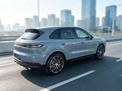 Porsche Cayenne 3.0T - ფოტო 15