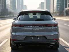 Porsche Cayenne 3.0T - ფოტო 16