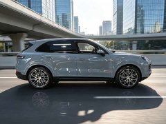 Porsche Cayenne 3.0T - ფოტო 18