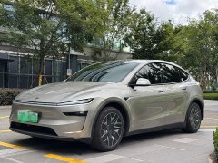 Tesla Model Y L Long Range All-Wheel Drive - ფოტო 1