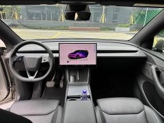 Tesla Model Y L Long Range All-Wheel Drive - ფოტო 10