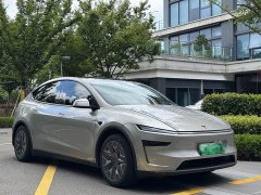 Tesla Model Y L Long Range All-Wheel Drive - ფოტო 3