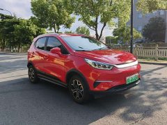 BYD Yuan Pro 2021 401KM Luxury - ფოტო 3