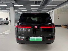 Denza BYD Denza N8L Flagship - photo 6