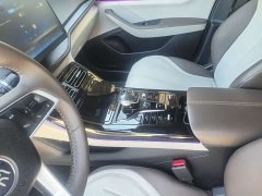 BYD Qin PLUS Glory Edition DM-i 55KM Superior - ფოტო 9