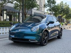 ORA Good Cat 2024 401km Deluxe 126kW - ფოტო 1