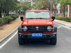 Tank 300 Off-Road Edition 2.0T Conqueror - ფოტო 2