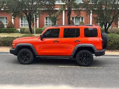 Tank 300 Off-Road Edition 2.0T Conqueror - ფოტო 7