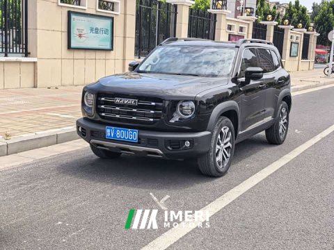 2022 Great Wall Dachshund 2021 Facelift 1.5T DCT Two-Wheel Drive Belgian Malinois - Prosperous Fortune Edition - ავტომობილი …