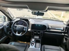 Great Wall Dachshund 2021 Facelift 1.5T DCT Two-Wheel Drive Belgian Malinois - Prosperous Fortune Edition - ფოტო 18