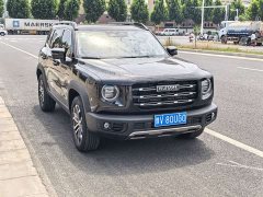Great Wall Dachshund 2021 Facelift 1.5T DCT Two-Wheel Drive Belgian Malinois - Prosperous Fortune Edition - ფოტო 3