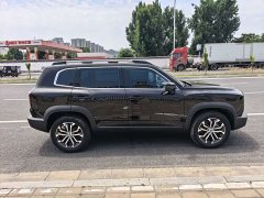 Great Wall Dachshund 2021 Facelift 1.5T DCT Two-Wheel Drive Belgian Malinois - Prosperous Fortune Edition - ფოტო 4
