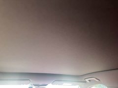 Li Auto L6 Pro - ფოტო 10