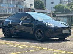 Tesla Model Y Rear-Wheel Drive - ფოტო 3