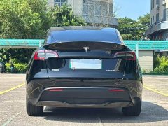 Tesla Model Y Rear-Wheel Drive - ფოტო 8