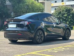 Tesla Model Y Rear-Wheel Drive - ფოტო 9