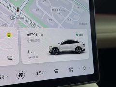 NIO EC7 75kWh - ფოტო 14