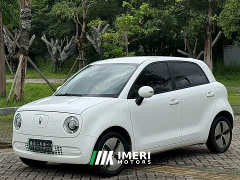 2021 ORA Black Cat 301km Base - ავტომობილი ჩინეთიდან