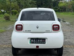 ORA Black Cat 301km Base - ფოტო 4