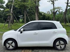 ORA Black Cat 301km Base - ფოტო 7