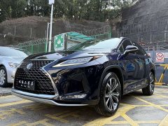 Lexus RX 2021 300 AWD Special Edition - ფოტო 1