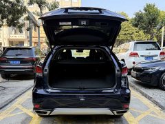 Lexus RX 2021 300 AWD Special Edition - ფოტო 17
