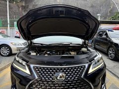 Lexus RX 2021 300 AWD Special Edition - ფოტო 19