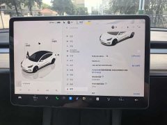 Tesla Model 3 2022 Rear-Wheel Drive - ფოტო 14